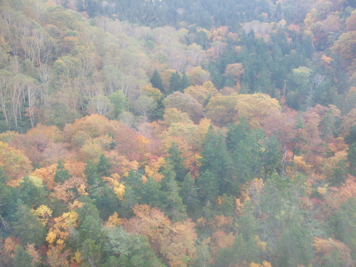 2007_1017��������0120