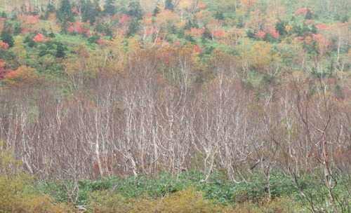 2007_1017��������0164