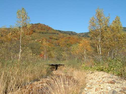 DSCF0022