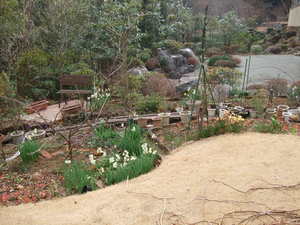 2010_0122����0005