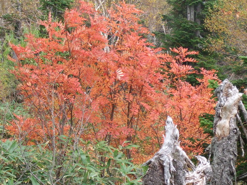 2007_1017��������0192