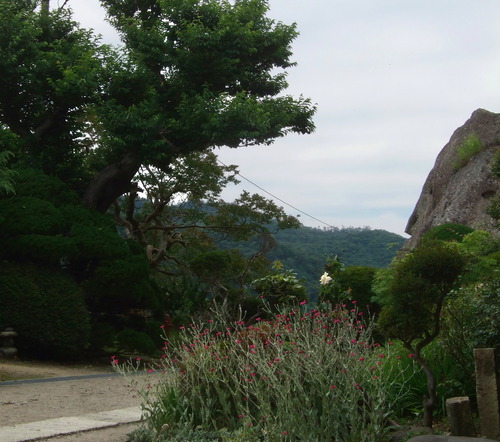 DSCF0666