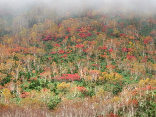 2007_1017��������0175