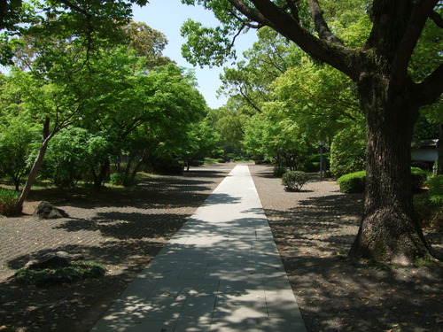 2008_0423熊本0084