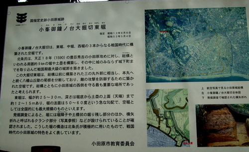 2007_1103¾®Åĸ¶ÈͶ10020