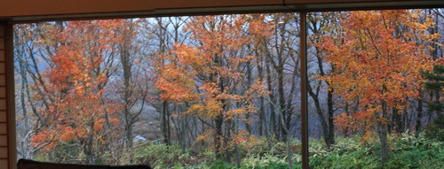 ���ӡ���������