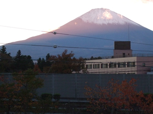 2008_1121gotennba0012