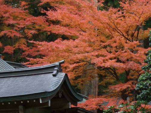 2007_1202¹ä»Ë¾»»Òº§Ìó0095