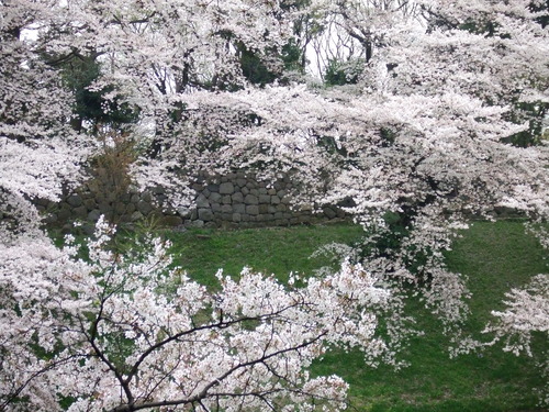 2008_0402H19��0121