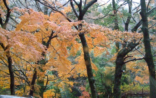 2006_1209�ս���Ȣ��0055