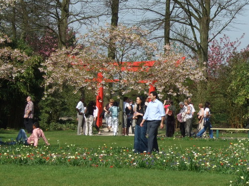 2007_0417オランダ0594