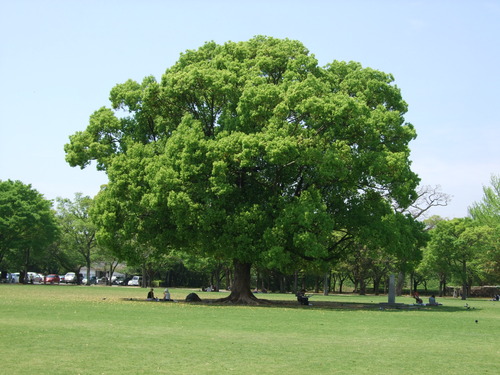 2008_0423熊本0074