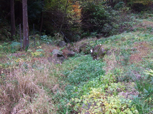 2007_1202¹ä»Ë¾»»Òº§Ìó0038