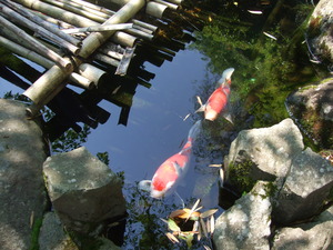 2012_0513河村城0022