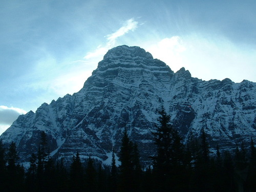 2005_1024�Σ�30079