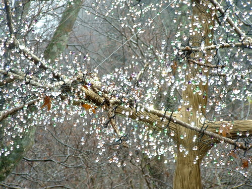 2006_1209�ս���Ȣ��20100