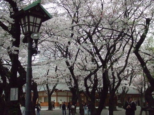 2008_0402H19��0152