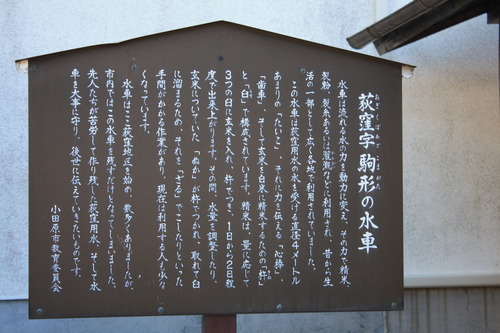 ���ĸ����Ķ� (45)