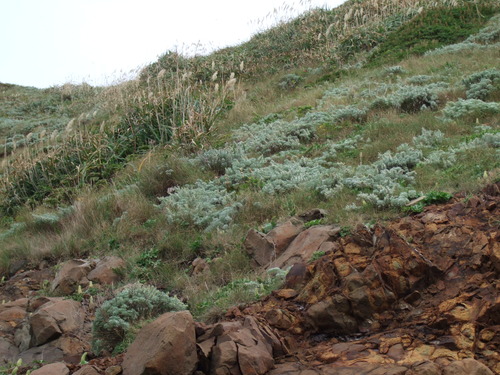 2007_0924��ʸ����������0120