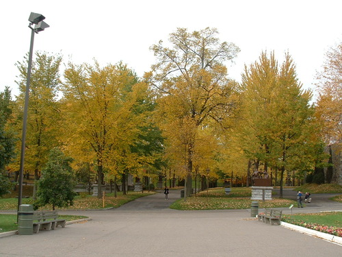 2005_1020첽ٻΥե०0009