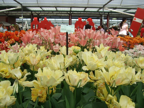 2007_0417オランダ0609