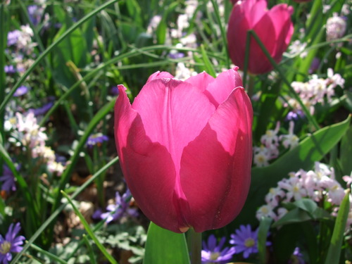 2007_0417オランダ0601