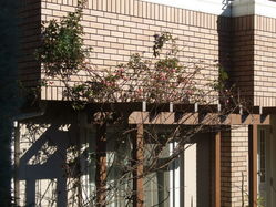 2010_0118�Ĥ�Х�������0002