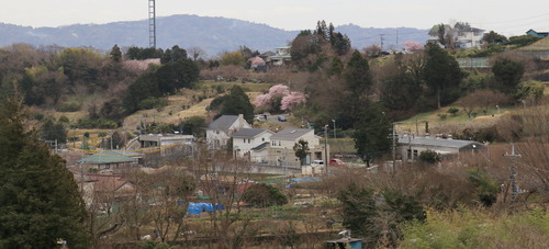 IMG_2709 - ���ԡ�