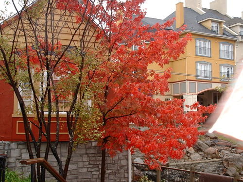 2005_1020첽ٻΥե०0058