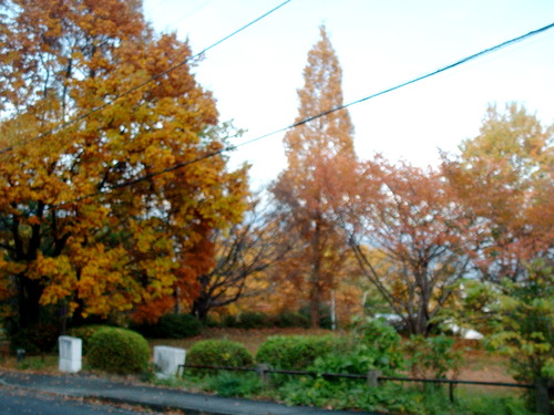 2007_1202Ƴλºµ¢¤êGH0011