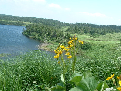 DSCF0023
