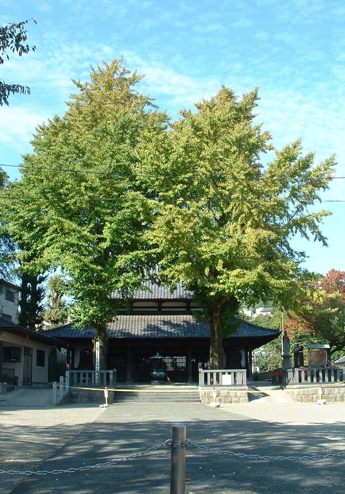 2007_1004¾®Åĸ¶ÈͶ£²0044