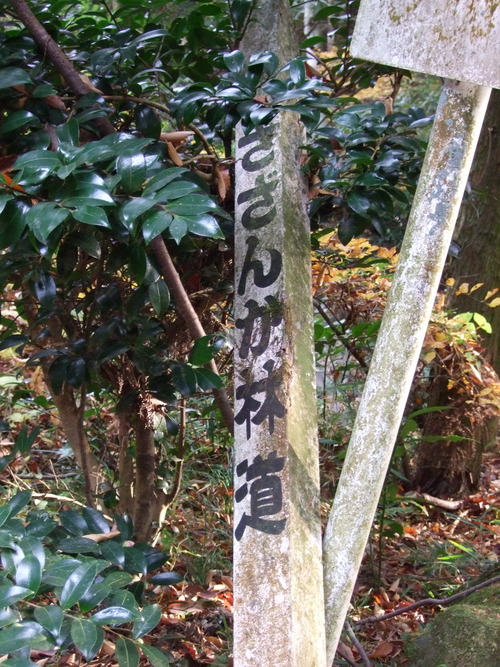 2007_1202¹ä»Ë¾»»Òº§Ìó0139