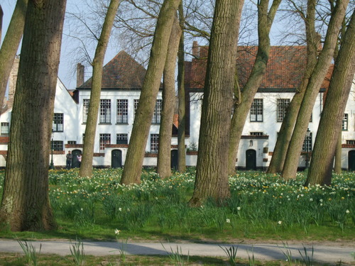 2007_0417オランダ0043
