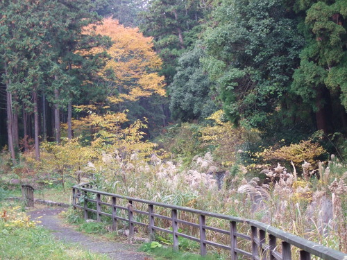 2007_1202¹ä»Ë¾»»Òº§Ìó0037