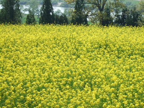 2007_0509¿®½£0140