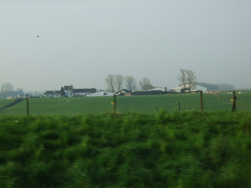 2007_0417オランダ0362
