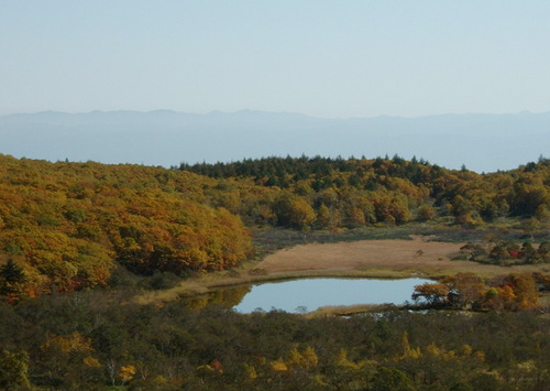 DSCF0017