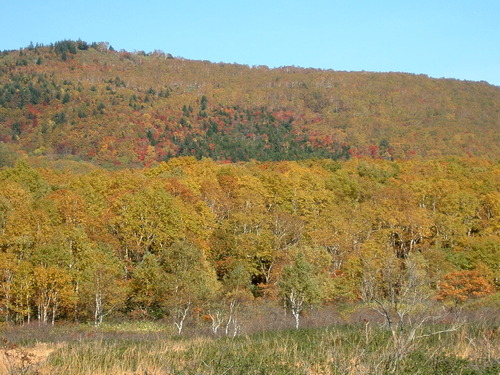 DSCF0038
