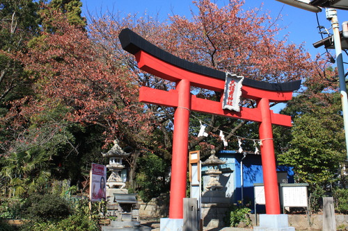 ���ĸ����Ķ� (16)