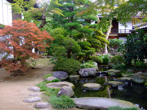 2007_1017��������0246