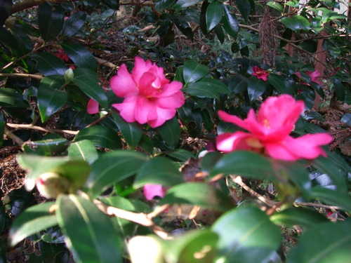 2007_1202¹ä»Ë¾»»Òº§Ìó0138