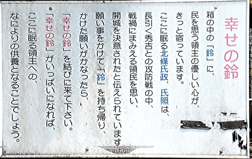 P_20200407_115452_0000