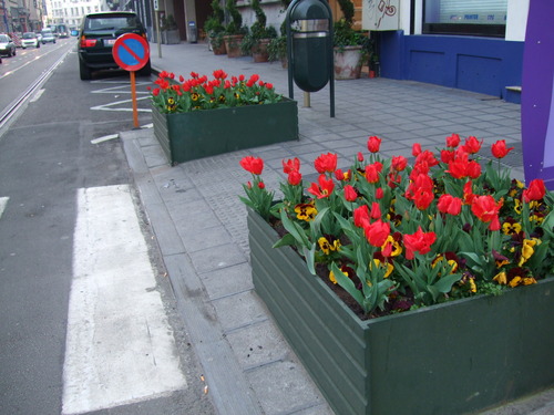 2007_0417オランダ0351