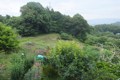 DSCF8323