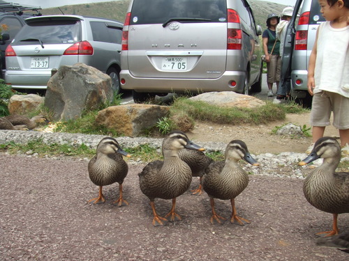 2006_0808�򺬻�0044