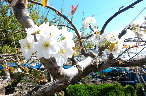 P_20200406_134115(1)