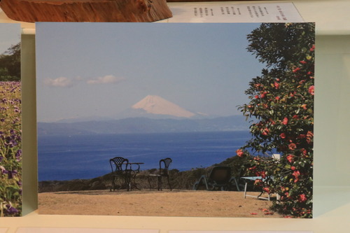 IMG_4691