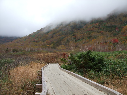 2007_1017��������0131