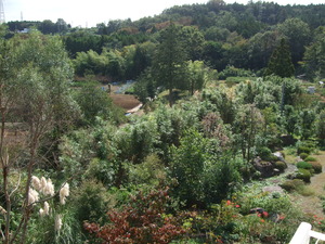 2011_1003�뤫��0001